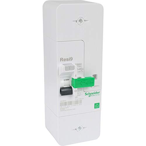 Schneider R9E10345 Disjoncteur de branchement DB60 2P 15/45A 500mA Sélectif