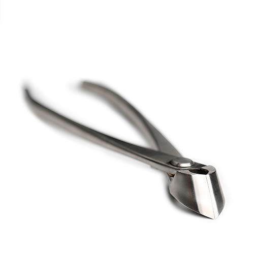 Tianbonsai JTS-06 Master'S Grade 165 Mm Branch Cutter Straight Edge Bonsai Branches Cutter 5Cr15Mov Alloy Steel Bonsai Tools thumb #1