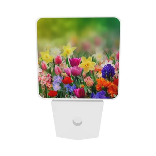 Image of Summer Colorful Flowers Night Light Set of 2, Spring Floral Auto Sensor LED Dusk-to-Dawn Nightlights, Plug-in Sensor Lamp for Bedroom Bathroom Kitchen Hallway Stairs Decorative