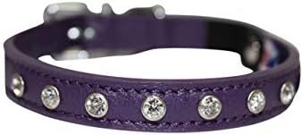 Angel Athens Cat Collar 21826 Collar, Purple, 10