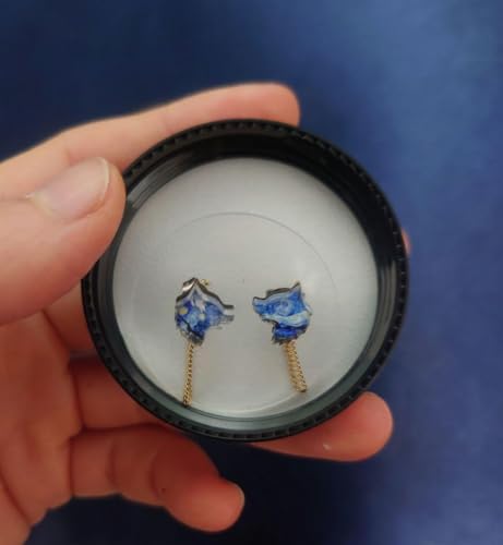 tFX EsnesNommoc Sbzuv T sAX