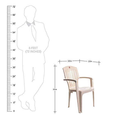 Image of CELLO Comrade Set of 6 Chairs (Beige) | Strong and Durable | Easy to Clean | Chair for Living Room, Bed Room, Kitchen, Office Room, Outdoor | 3 Years Warranty