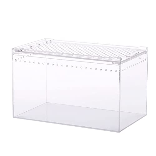 Kit de cage à insectes anti-évasion en acrylique transparent - 2