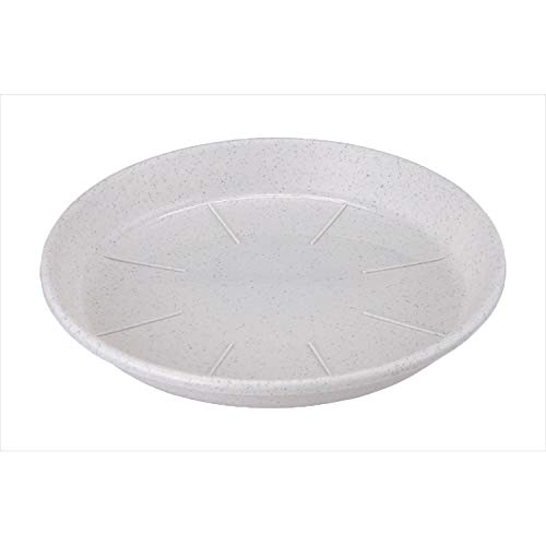 アップルウェアー 浅皿AP 5号 ミカゲ