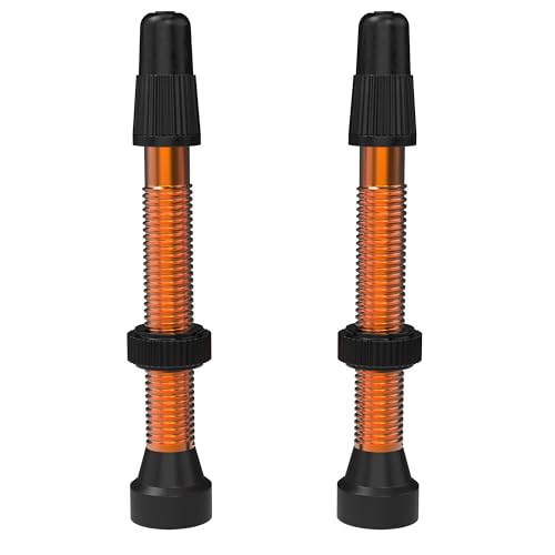 Valves Presta Wtb Tcs Al Orange pour résoudre les fuites d'air de pneu