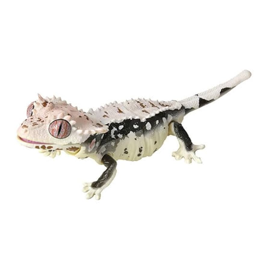 バンダイ　いきもの大図鑑　トカゲ　レオパ　クレステ　アルマジロトカゲなどセット いきもの大図鑑レプティ セレクテッドエディション | ナムコ