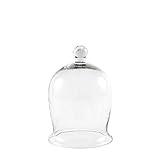 Achla Designs Miniature Bell Jar I