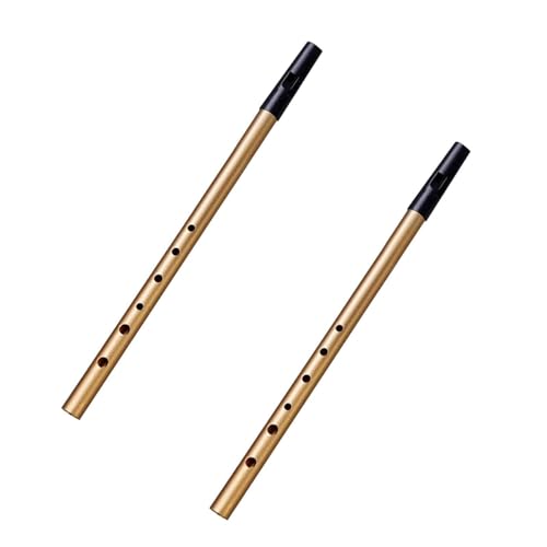 2 Stück Irische Pfeife, Penny Whistle mit 6 Löchern, Traditionelle Tin Whistle, Aluminiumlegierung Irish Whistle Schlüssel D Messing für Anfänger