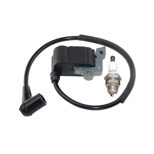 Bobine d'allumage EB802 solution pour démarrage difficile - 4