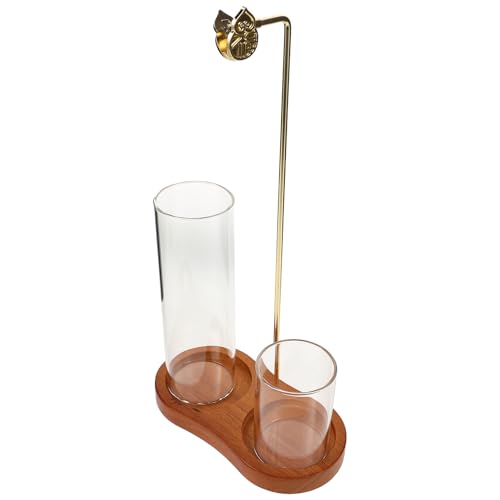 Alipis ؐ8` F ݂艺tF \ ґz KpN[[VA}