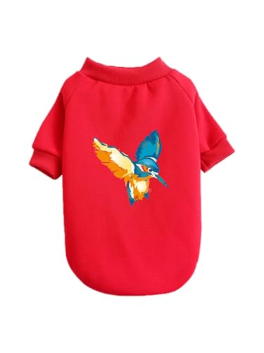  JZ~  ybg hbOEFA ̕ L ybgEFA h _炩 іh~   t@bV U ybgpi