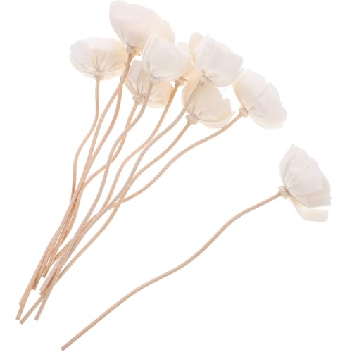 HOOTNEE Varillas Difusoras de Ratán 10 Unidades Flores Secas para Aromaterapia, Palitos de Aromaterapia para Difusor de Fragancias Hogar, Accesorios Decorativos Naturales para Dormitorio