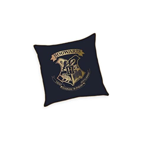 Klaus Herding GmbH Harry Potter Soft Velboa Kissen, 40x40 cm, 100% Polyester Cover