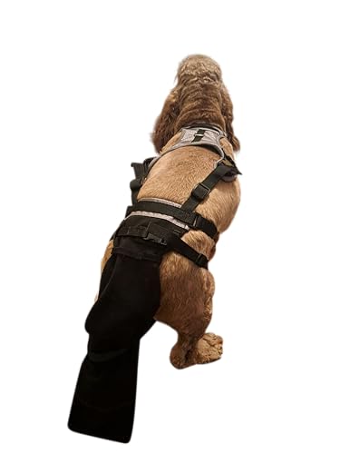 Image of Tail Guard & Harness Set - Veterinary Dog Tail Protector & Injury Wrap, Size XS