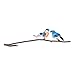 Gallerie II Bluebird Birds Clip Christmas Xmas Ornament A/2 Multi