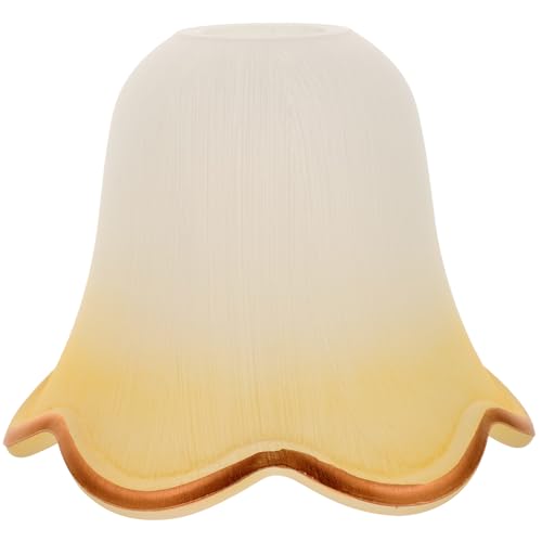 Cubierta Protectora Transparente para Lámpara con Estilo Europeo Elegante
