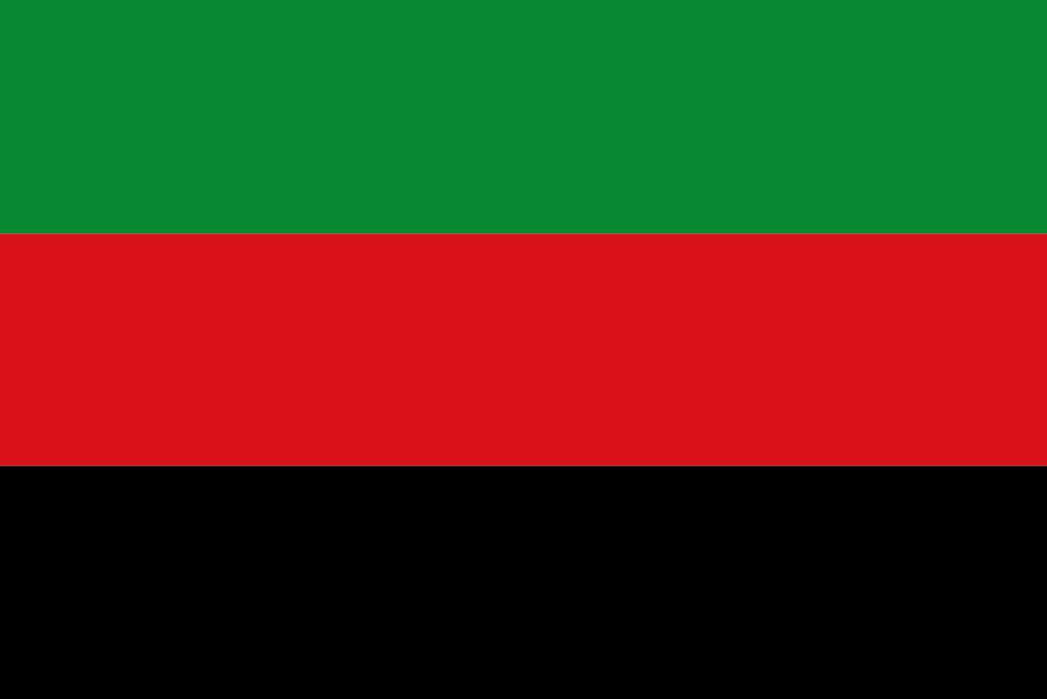 Rucphen vlag 1949 drapeau grand format résistant pour commémoration