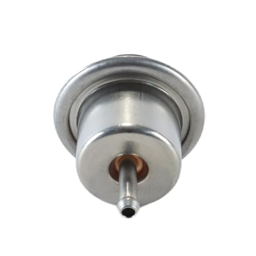 DUZEPA Druckregler für die Kraftstoffeinspritzung, kompatibel mit Jeep Wrangler Grand Cherokee 1991–1995, 12460604 PR210T