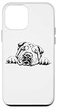 pies shar pei miniaturka cena Sleep Sharp Pei T-Shirt, Tee, Shirt, Sharp Pei T Shirt, Sharp Pei Tshirt, Apparel, Clothing, Long Sleeve, Sharp Pei Hoodie, Sweatshirt, Coffee Travel Mug, Decor, Reusable Canvas Tote Bag, Throw Pillow, Phone Case, Tumbler, Phone Holder & Stuff