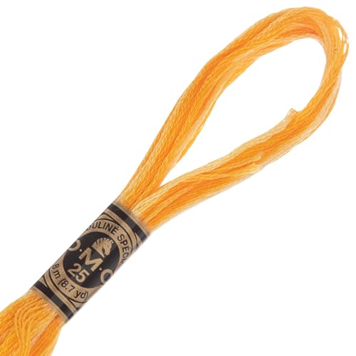 Image of Hobby Lobby DMC Cotton Embroidery Floss - 90 Variegated Yellow, Set of 12