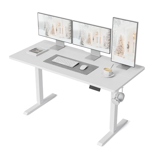 DESINO 55×24 Electric Standing Desk