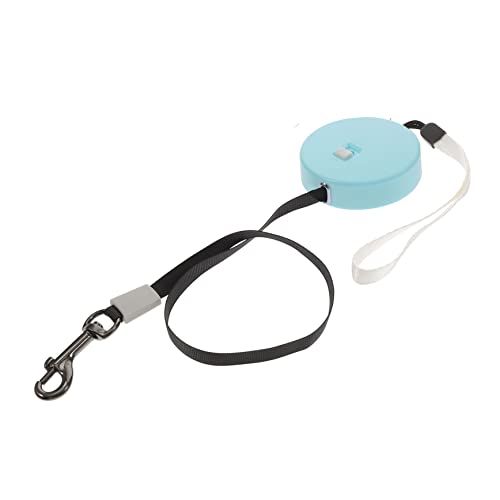 Laisse pour petits chiens rétractable avec LED et attache pour chiot
