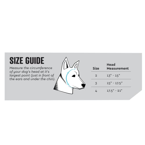 Image of Rex Specs Ear Pro | Noise Cancelling Ear Wraps for Dogs | Dog Ear Muffs Noise Protection (02, Black)