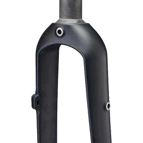 Amazon.com : Ritchey WCS Adventure Fork Carbon Straight Flatmount