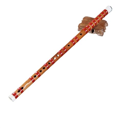 |Jy v̉t|JƉJy_u (Color : C)