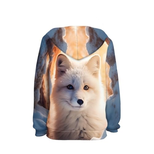 JooMeryer Teens Kids Boys 3D Fox Printed Animal Long Sleeve Hoodie Sweatshirts 6-16Y2