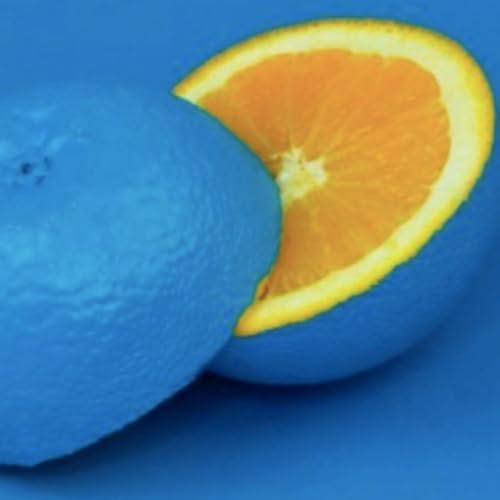 Being a Blue Orange