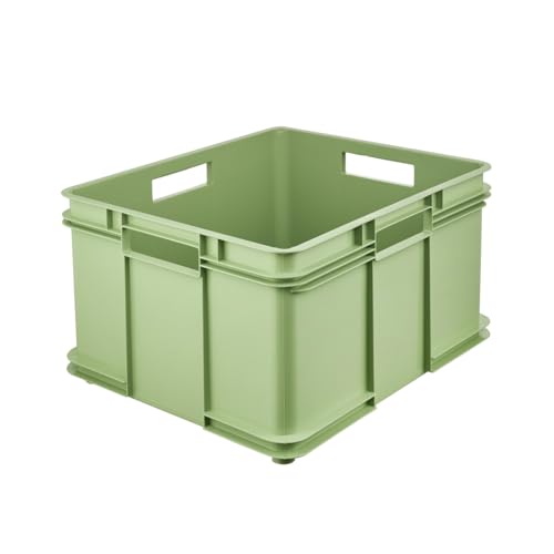 keeeper Transportbox mit Tragegriffen, Euro-Box XXL, 52 x 43 x 28 cm, Bruno Eco Line, Grün (Eco Grass Green)
