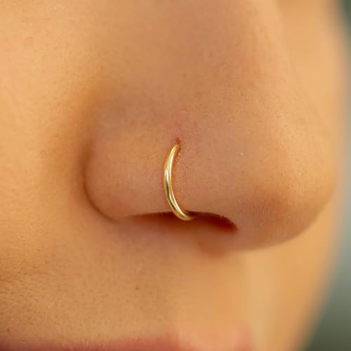 Image of AVYRING Hypoallergenic Nose Rings 316L Surgical Steel Silver Gold Nose Hoops 18g 20g 16g Septum Ring Hinged Clickers Seamless Helix Cartilage Conch Earrings Hoop for Women Men 6mm 7mm 8mm