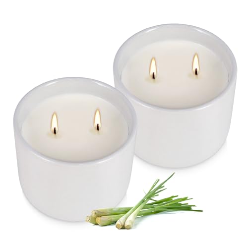 Bougies parfumées citronnelle à double mèche en coton et cire de soja de qualité