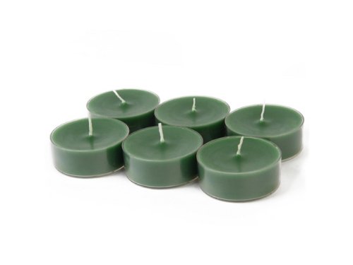 Zest Candle CTM-028_12 144-Piece Mega Oversized Tealight Candle, Hunter Green