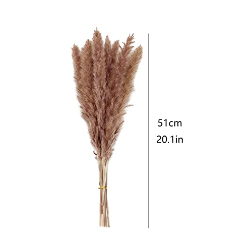 Grama de pampas seca artificial JUOPZKENN, grama de pampas fofa, grama de pampas falsa, decoração de