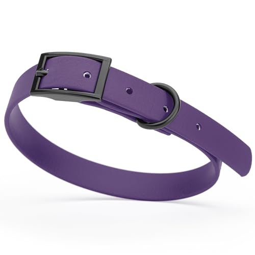 Image of Dogline Biothane Waterproof Dog Collar Strong Coated Nylon Webbing with Black Hardware Odor- Proof for Easy Care Easy to Clean High Performance Fits Small Medium or Large Dogs, Violet Purple