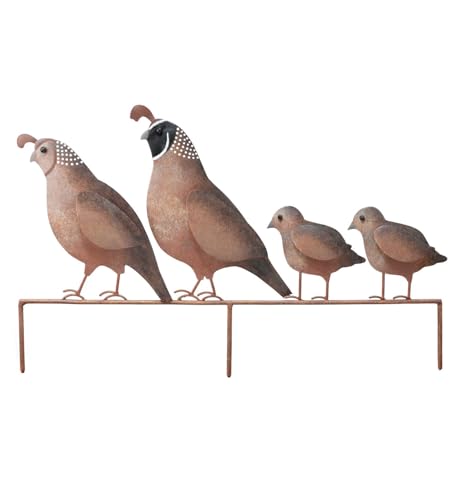 Regal Art & Gift Outdoor Decorative Bird Stake, Metal Garden Stake, Durable Bird Stake Sculpture, Bird lover gift, Backyard, Patio, Porch Décor, Quail Family, Brown, 21.5