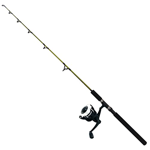 Combo de pesca Fladen Spinosaurus JR40 el regalo ideal para iniciarse en la pesca en barco
