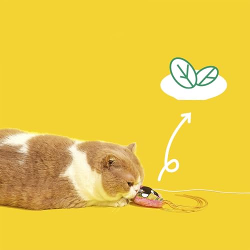 Jouet interactif pour chat pour éviter l'ennui en appartement - 6