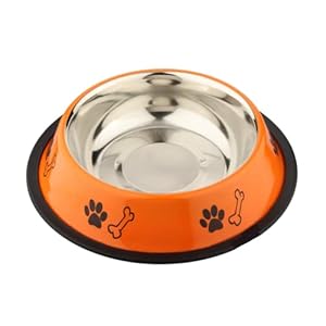 Foodie Puppies Stainless Steel Paw Bone Printed Bowl for Dogs, Cats & Any Pets – 700ml, Medium (Fiery Orange) I Non-Skid Rubber Bottom Food/Water Bowl I Non-Toxic & 100% Safe for Pets