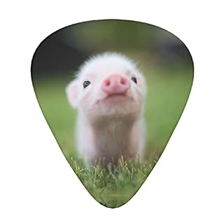 Ensemble de 12 médiators de guitare Baby Pig pour guitare acoustique, guitare électrique, contrebasse, ukulélé - Les Beatles, Paul McCartney, John Lennon, RIngo Starr, George Harrison