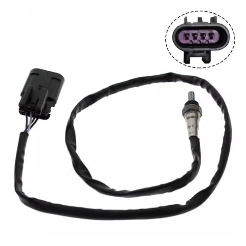 Capteur Lambda O2 pour rouler en ville avec Primavera 150 Sprint - 2