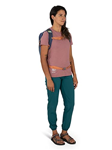 Osprey Europe Unisex Backpack, Silver Lining/Blueberry, One Size - Image 4