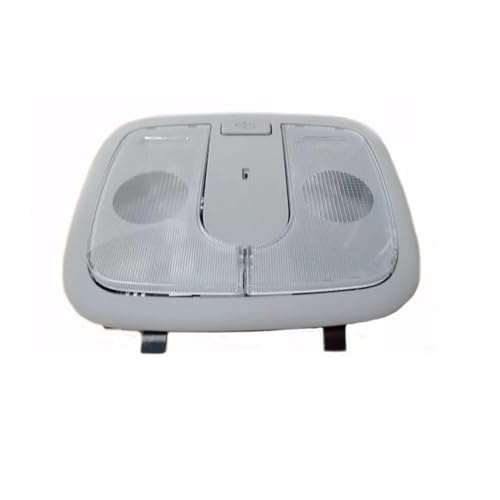 Lámpara de consola superior interior para KIA Rio lámpara de techo 12-17