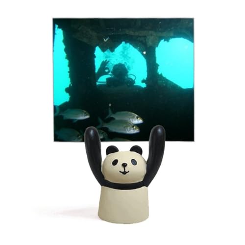 Support de photo panda poisson de l'océan porte-mémo mignon
