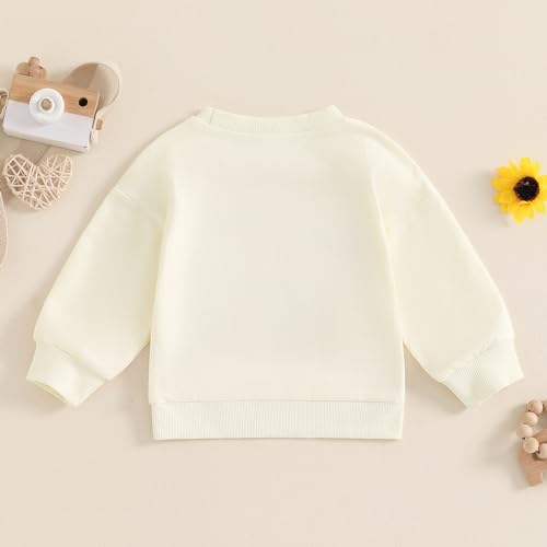 toddler girl boy fall baby outfit embroidered halloween sweatshirt oversized pullover sweater pumpkin clothes