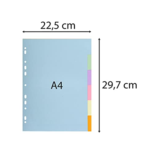 Intercalaires colorés A4 Exacompta en carte robuste 170g pour archivage