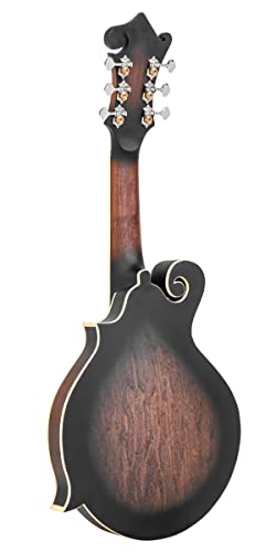 Gold Tone F-6: F-style Mando-Guitarwith Pickup and Hard Foam Case | Manditar tuned EADGBE - Image 6