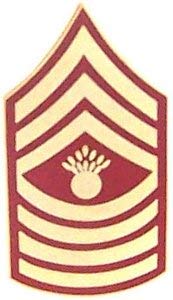US Marine Corps E-9   MGYSGT Lapel Pin